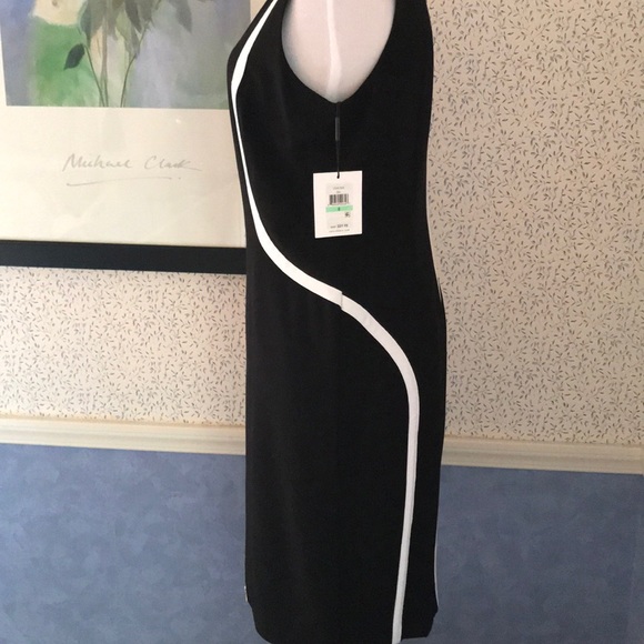Ladies Sleeveless Dress - Picture 5 of 8